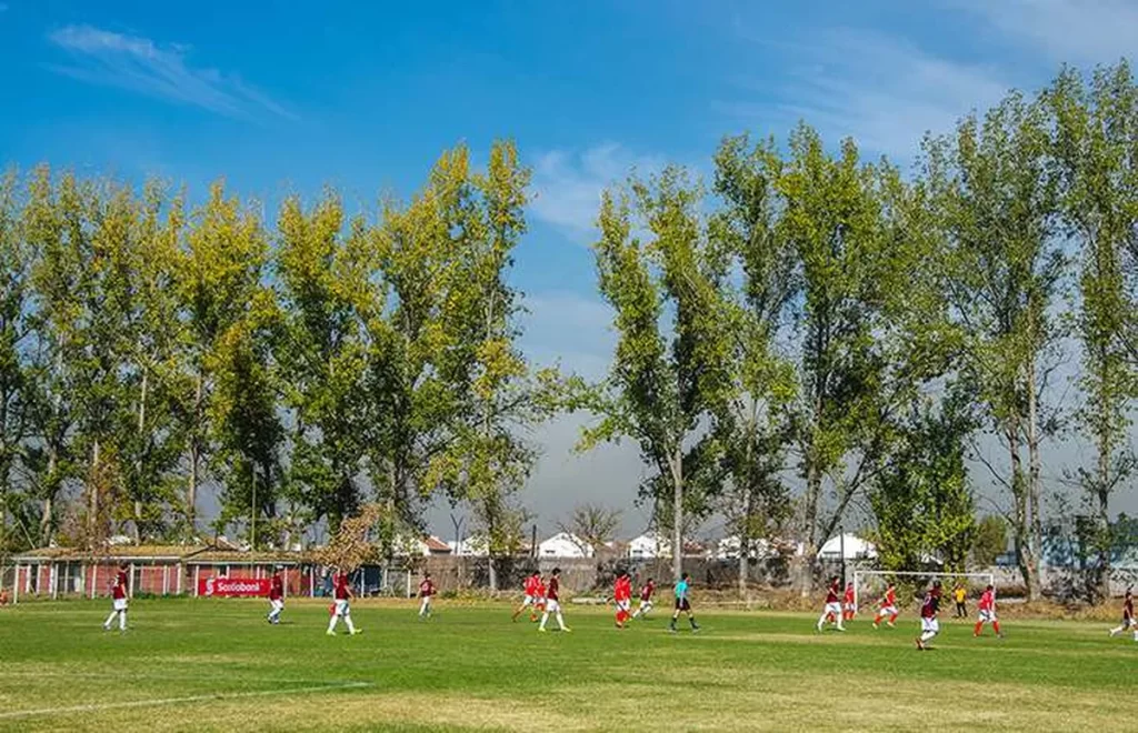 Liga-de-Fútbol-La-Reina-Huechuraba